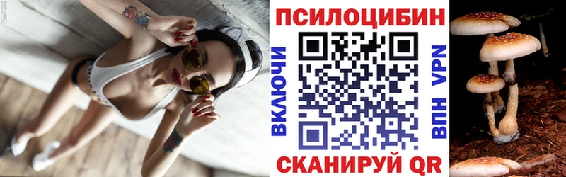 мега рабочий сайт  как найти закладки  маркетплейс телеграм  Галлюциногенные грибы Psilocybine cubensis  Венёв 